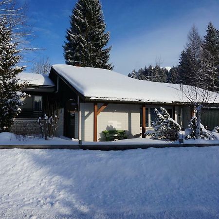 Vila Haus Sonnenalm Bad Mitterndorf Exteriér fotografie